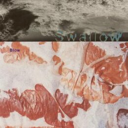 SWALLOW - BLOWN (REISSUE) - CD