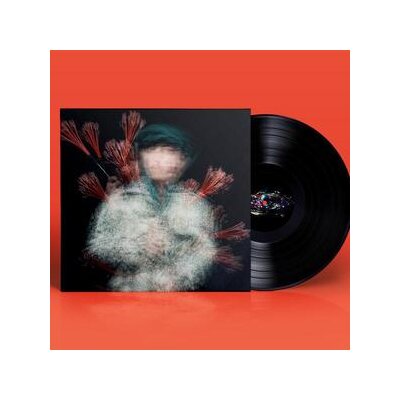 STRAUSS, SILVAN - FLUKIN - LP