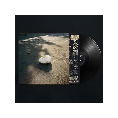 RAEDY - THANK YOU HAVE A NICE DAY - LP