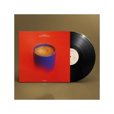 V.RAETER - SUNDAY ON A MONDAY - LP