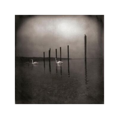 OM - CONFERENCE OF THE BIRDS (REISSUE) - LP