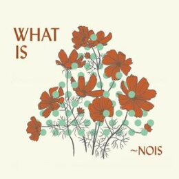 ~NOIS - WHAT IS ~NOIS - CD