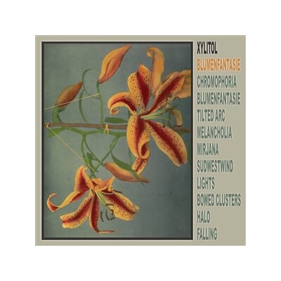 XYLITOL - BLUMENFANTASIE - LP