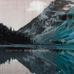 DOWNPILOT - STRANGE HORSES - LP