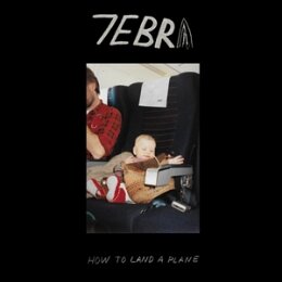 7EBRA - HOW TO LAND A PLANE - LP