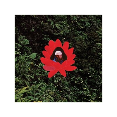 LIONMILK - WHEN THE FLOWERS BLOOM - LP