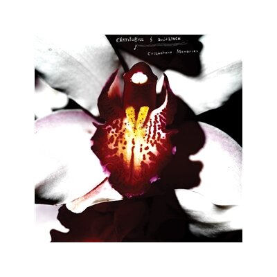 CHRYSTABELL & DAVID LYNCH - CELLOPHANE MEMORIES (SUBLIME ETERNAL YELLOW VINYL) - LP