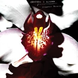 CHRYSTABELL & DAVID LYNCH - CELLOPHANE MEMORIES...