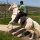 BOUROUISSA, MOHAMED - LILA - LP