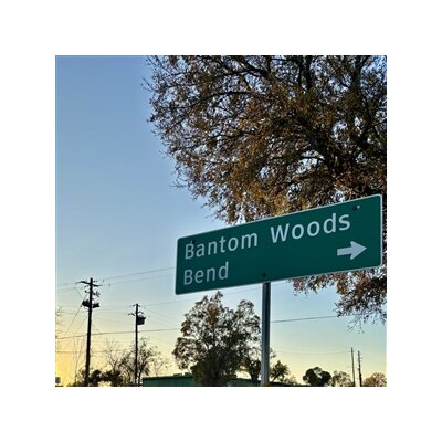 BANTOM WOODS - BEND (CLASSIC BLACK VINYL LP) - LP