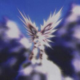 VIRAGEZERO - VIRAGEZERO - CD