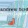 BIRD, ANDREW - FINGERLINGS 4 - CD