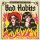 HANA & JESSIE LEES BAD HABITS - SAY WHAT YOU MEAN - LP
