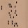 FORMAL SPPEEDWEAR - PUNCH CARD - LP