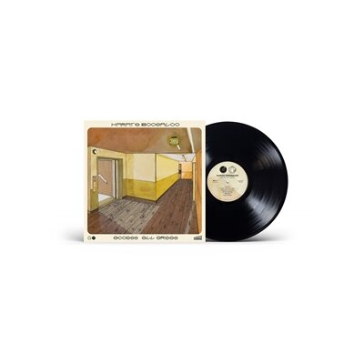 KARATE BOOGALOO - ACCESS ALL AREAS - LP