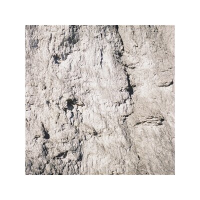 13 YEAR CICADA - 13 YEAR CICADA - LP