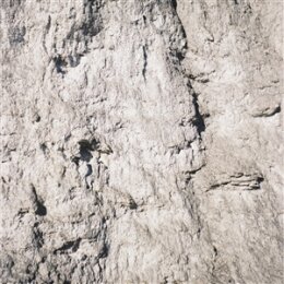 13 YEAR CICADA - 13 YEAR CICADA - LP