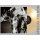 HOLY MOTORS - HEAVENS NIGHT -TRANSPARENT HAZE VINYL- - LP
