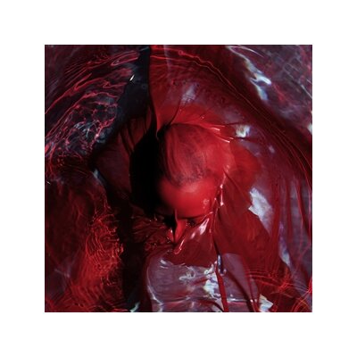 BLACKWATER HOLYLIGHT - NOT HERE NOT GONE  (180G) - LP