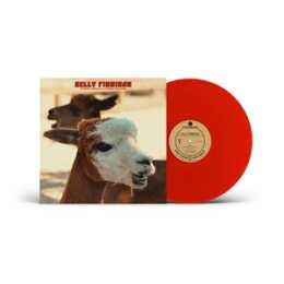 FINNIGAN, KELLY - B-SIDES, SINGLES & FORGOTTEN GEMS...