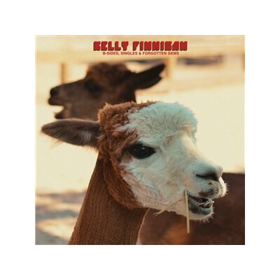 FINNIGAN, KELLY - B-SIDES, SINGLES & FORGOTTEN GEMS - CD