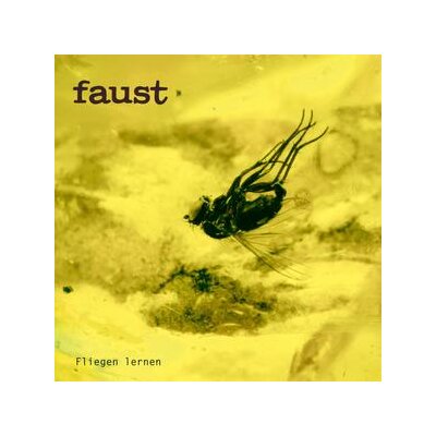 FAUST - FLIEGEN LERNEN [CURATED BY GUNTHER WÜSTHOFF] - LP