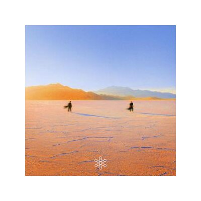 PRAANA - INSIGHT OUT (YELLOW/ORANGE MARBLED) - LP