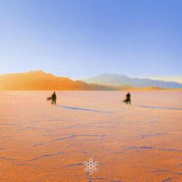 PRAANA - INSIGHT OUT (YELLOW/ORANGE MARBLED) - LP