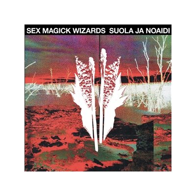 SEX MAGICK WIZARDS - SUOLA JA NOAIDI - CD