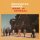 ORCHESTRA BAOBAB - MADE IN SENEGAL - LP
