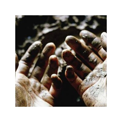 DIS FIG - WHAT TO MAKE OF THESE MORTAL HANDS - LP