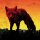 PRODIGY, THE - THE DAY IS MY ENEMY (REISSUE) - CD