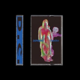 FONTAINES D.C. - DOPAMINE CHAMBER - MC