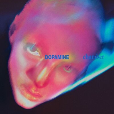 FONTAINES D.C. - DOPAMINE CHAMBER - CD