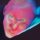 FONTAINES D.C. - DOPAMINE CHAMBER - CD