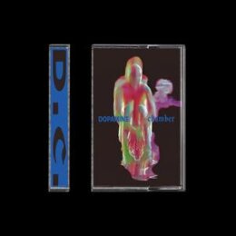 FONTAINES D.C. - DOPAMINE CHAMBER - MC