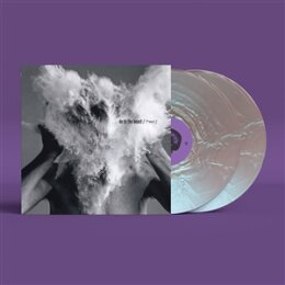 AFGHAN WHIGS, THE - DO TO THE BEAST  (PEARL FLIP &...