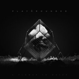 PLAYGROUNDED - A FLOWER TO WATER (BLACK VINYL) - LP