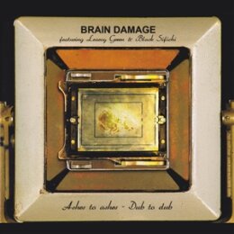 BRAIN DAMAGE - ASHES TO ASHES - DUB TO DUB - LP