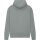 Earth Positive - EP301 - Pullover Hoodie - Light Grey
