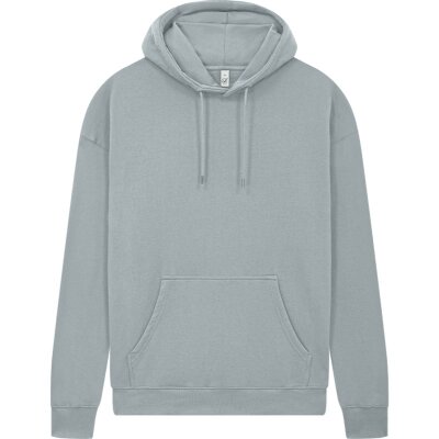 Earth Positive - EP301 - Pullover Hoodie - Light Heather