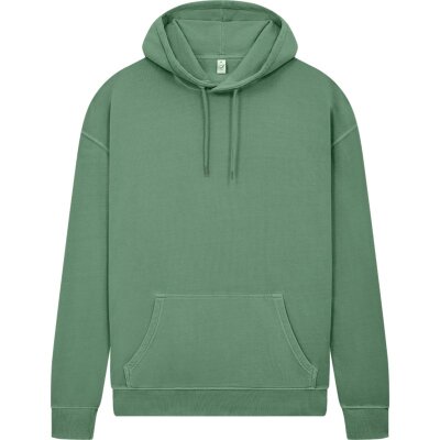 Earth Positive - EP301 - Pullover Hoodie - Stone Washed Sage Green
