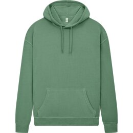 Earth Positive - EP301 - Pullover Hoodie - Stone Washed...