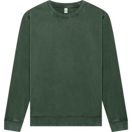 Earth Positive - EP302 - Sweatshirt - Stone Washed Green