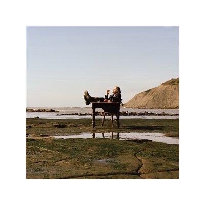 SKINSHAPE - CHAPMANS POOL - LP