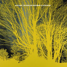 Nada Surf - The Stars Are Indifferent ... - CD