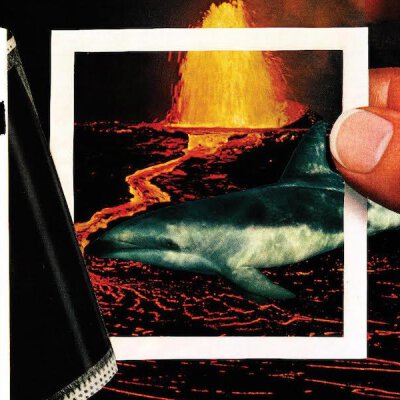 Thermals, The - We Disappear - LP