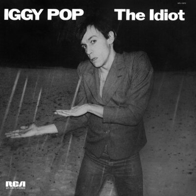 Iggy Pop - The Idiot - LP  (Back To Black Reissue)  + MP3