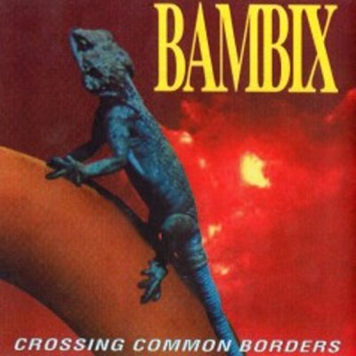 Bambix - Crossing Common Borders - LP