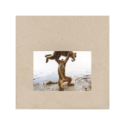 SHELLAC - DUDE INCREDIBLE - CD